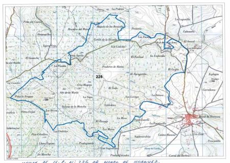 Imagen Autorizaciones para el aprovechamiento micológico en el MUP 226 de Moral de Hornuez